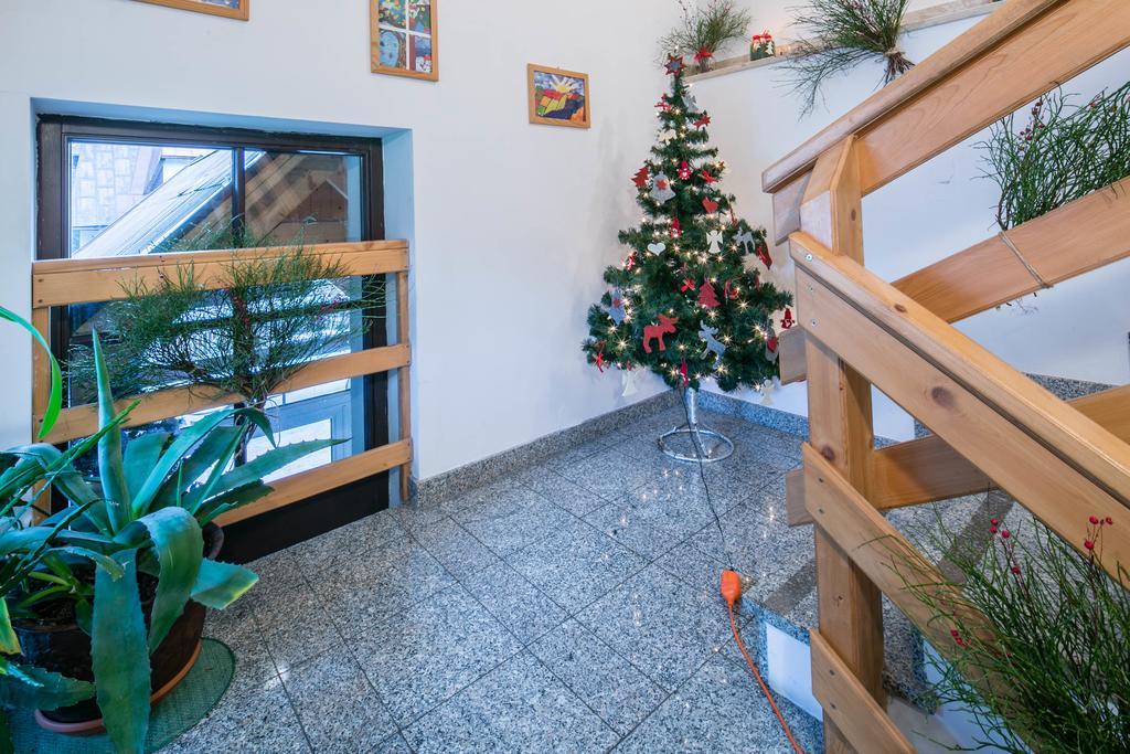 Willa Alpina Zakopane Exteriér fotografie